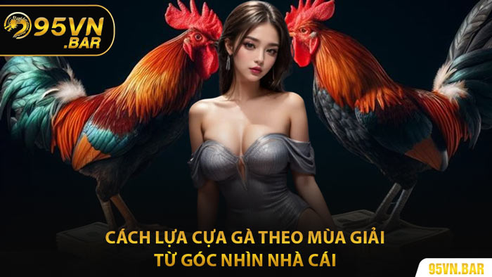 Cách Lựa Cựa Gà Theo Mùa Giải Từ Góc Nhìn Nhà Cái